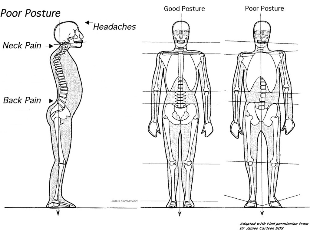Hobart Orofacial Pain and Special